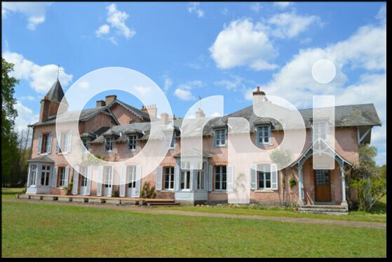 Maison à vendre 11 438.3m2 à Nançay vignette-17