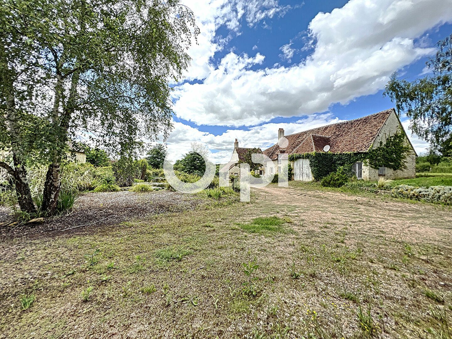 Maison à vendre 5 219m2 à Loye-sur-Arnon vignette-1
