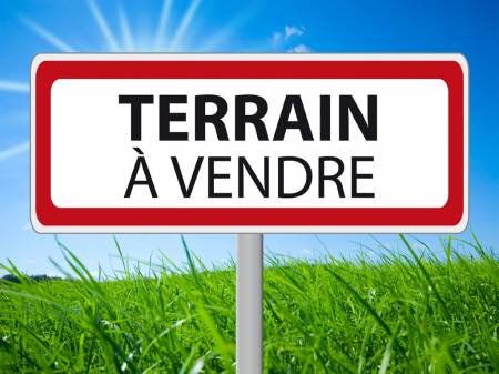 Terrain à vendre 0 469m2 à La Ferté-Saint-Aubin vignette-1