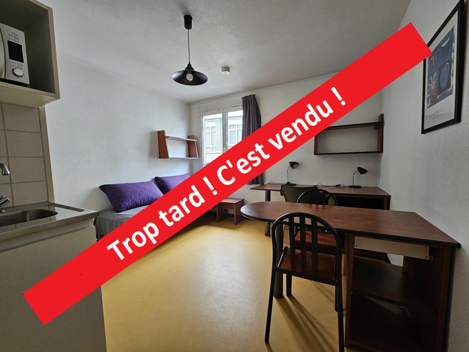 Appartement à vendre 1 19.13m2 à Saint-Étienne vignette-1
