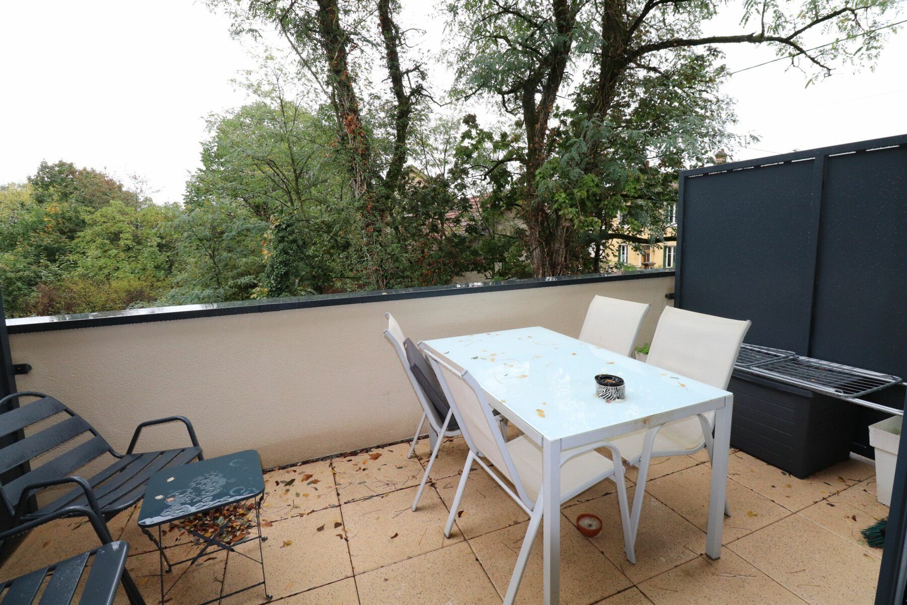 Appartement à vendre 3 m2 à Pont-de-Chéruy vignette-5