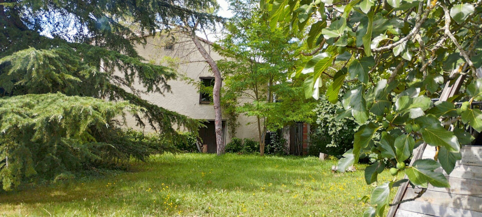 Maison à vendre 6 152.59m2 à Beaumont-sur-Lèze vignette-24