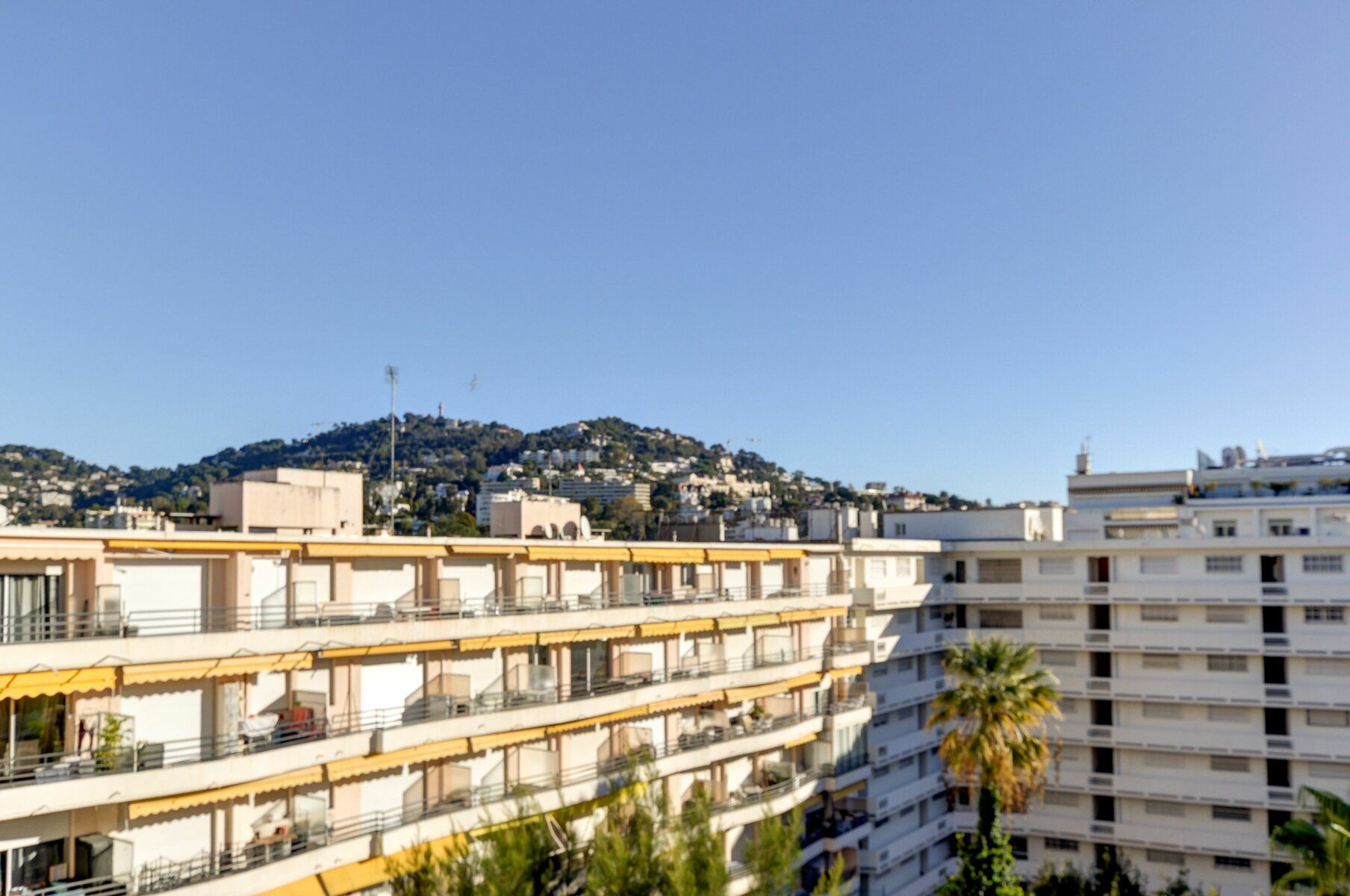 Appartement à louer 1 22m2 à Cannes vignette-6