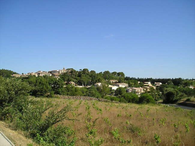 Terrain à vendre  2778m2 à Murviel-lès-Montpellier vignette-2