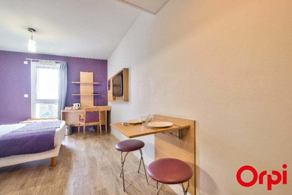 Appartement à vendre 1 20.64m2 à Saint-Priest vignette-5