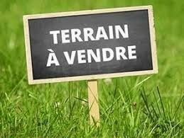 Terrain à vendre 0 536m2 à Saint-Pierre-d'Oléron vignette-1