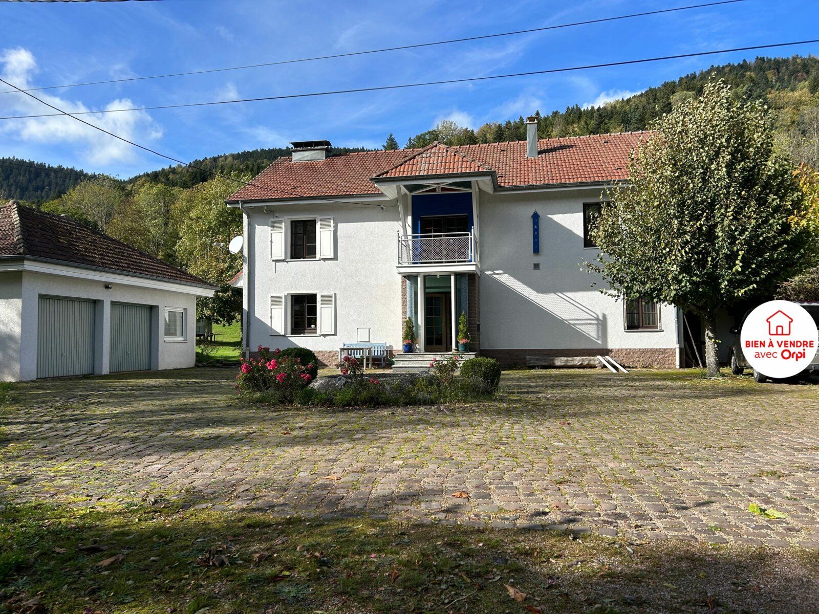 Maison à vendre 6 219m2 à Ban-sur-Meurthe-Clefcy vignette-11