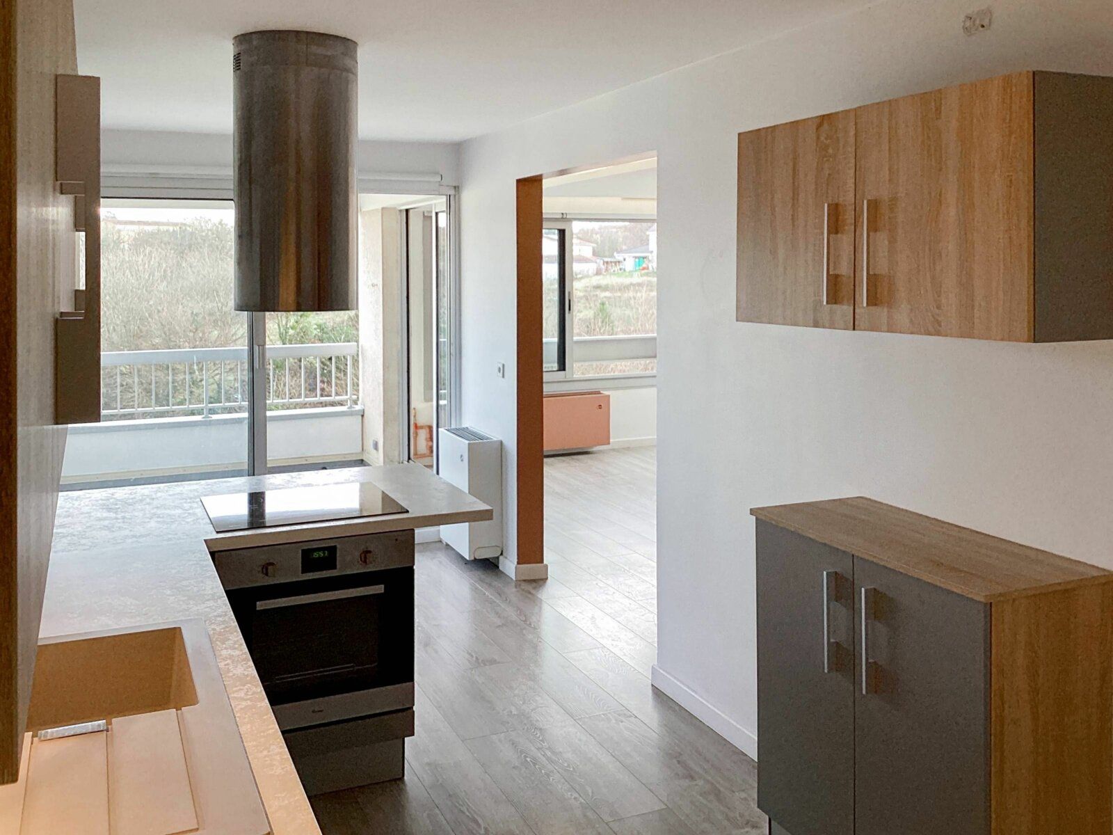 Appartement à vendre 3 73m2 à Fontaines-sur-Saône vignette-3