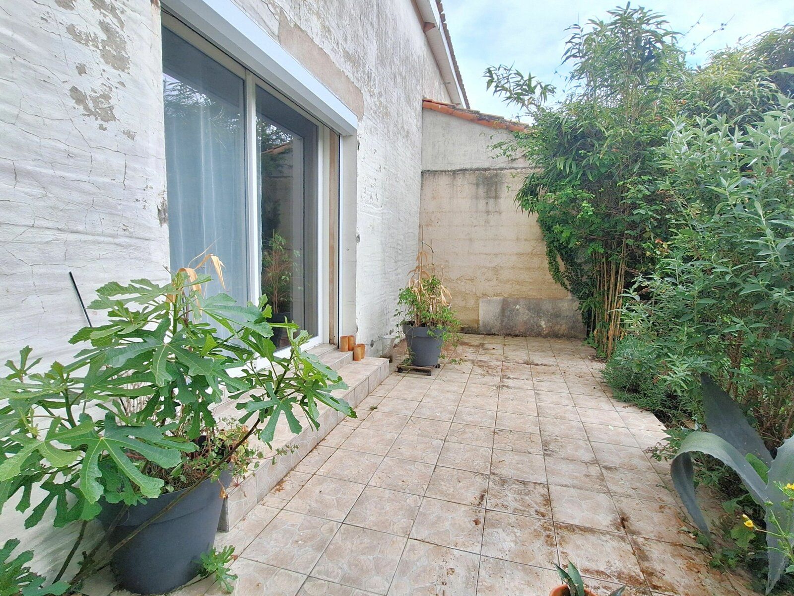 Maison à vendre 5 m2 à Saint-Romain-de-Benet vignette-2