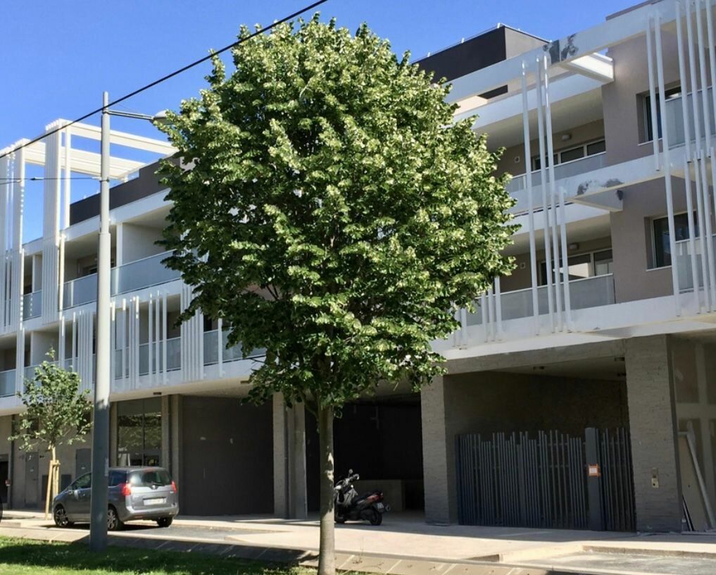Appartement à vendre 3 54.53m2 à Castelnau-le-Lez vignette-3