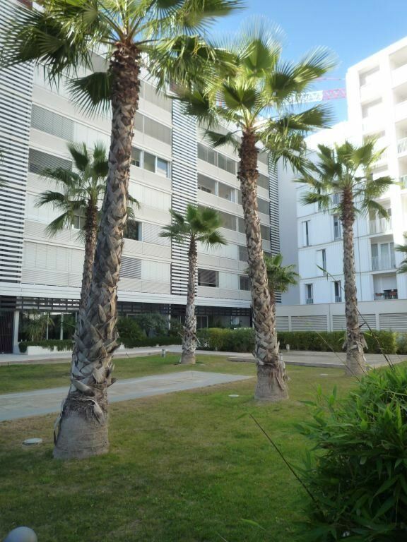 Appartement à louer 3 77.51m2 à Montpellier vignette-4