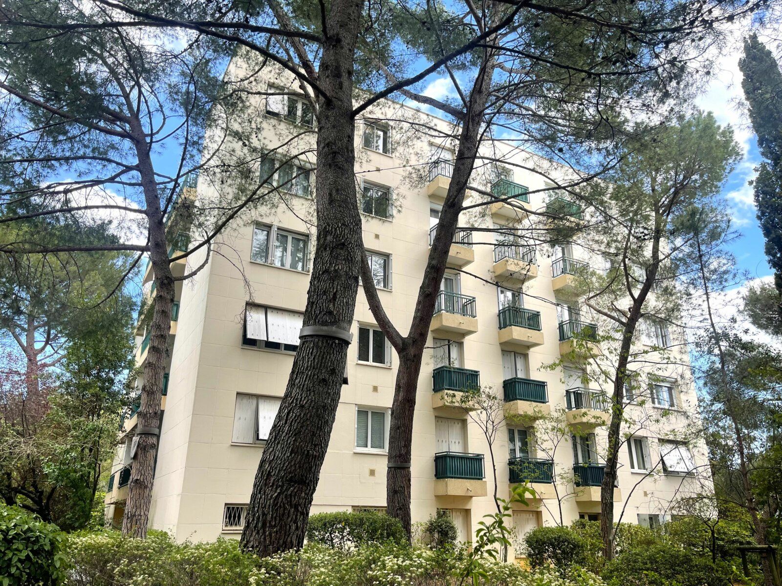Appartement à vendre 4 104.11m2 à Montpellier vignette-9