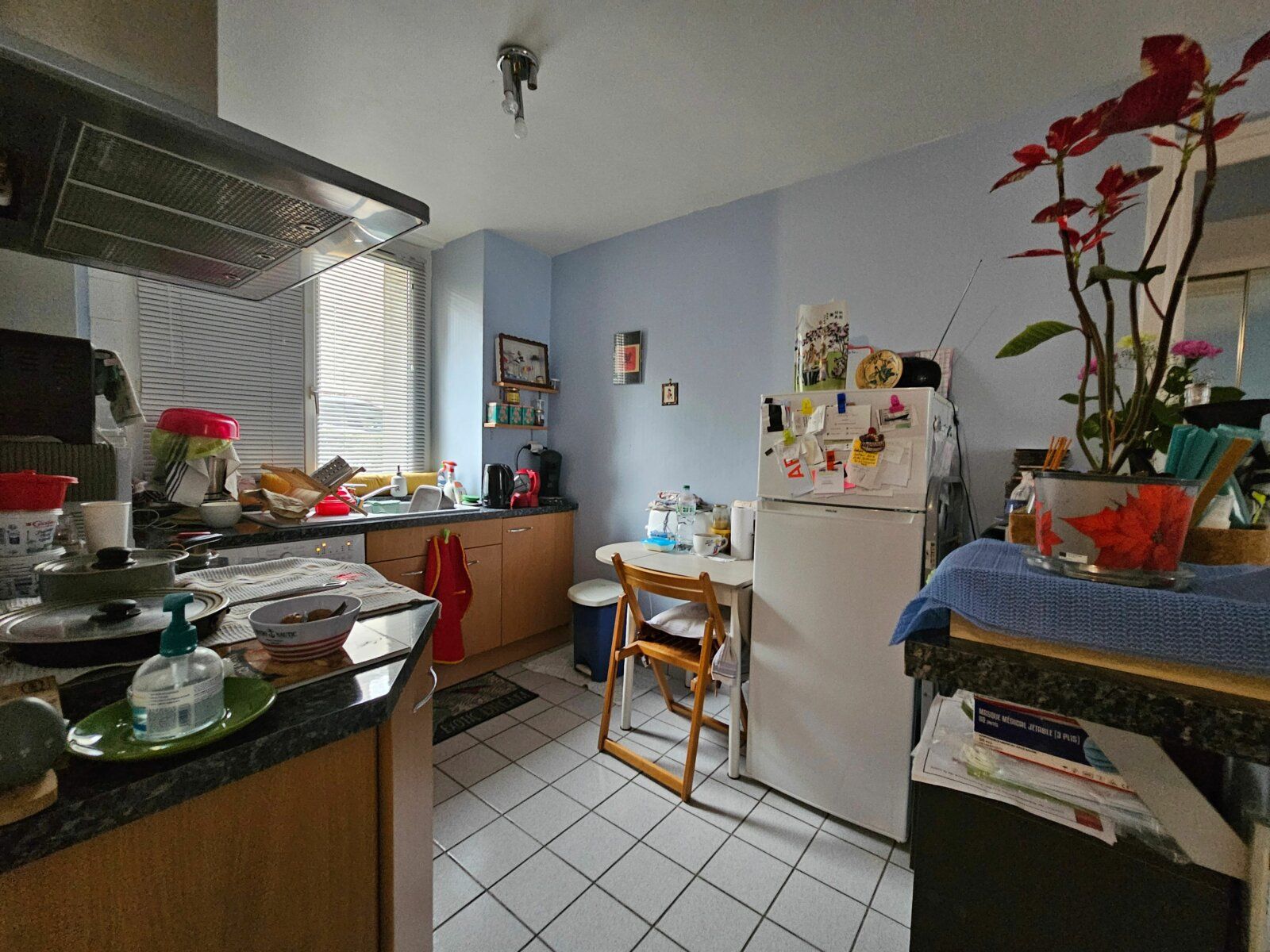 Appartement à vendre 3 44.95m2 à Saint-Étienne vignette-4