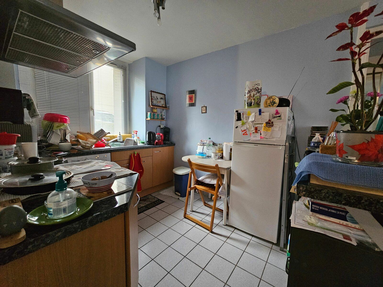 Appartement à vendre 3 44.95m2 à Saint-Étienne vignette-5
