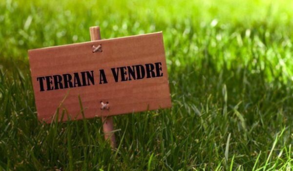 Terrain à vendre  414m2 à Saintry-sur-Seine vignette-1