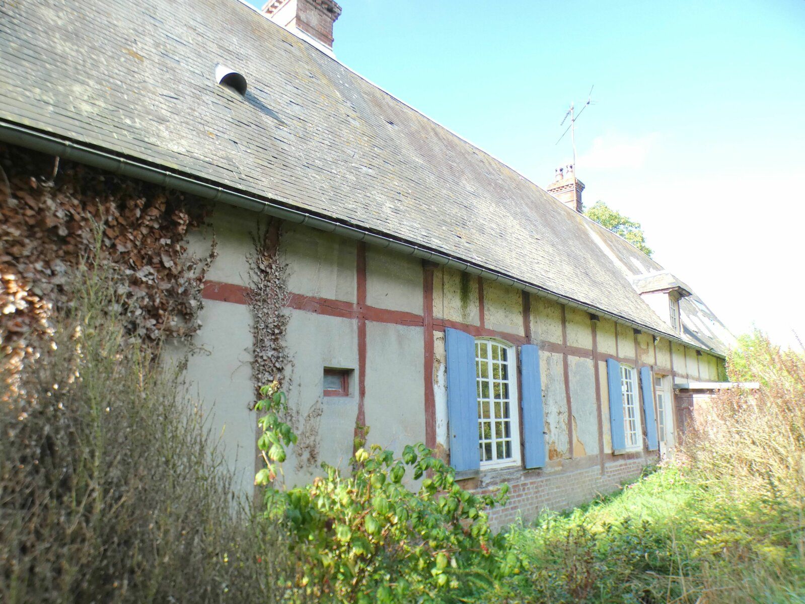 Maison à vendre 5 174.2m2 à Gournay-en-Bray vignette-17