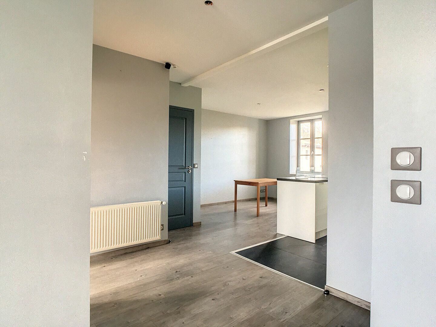 Appartement à louer 1 m2 à Albigny-sur-Saône vignette-10