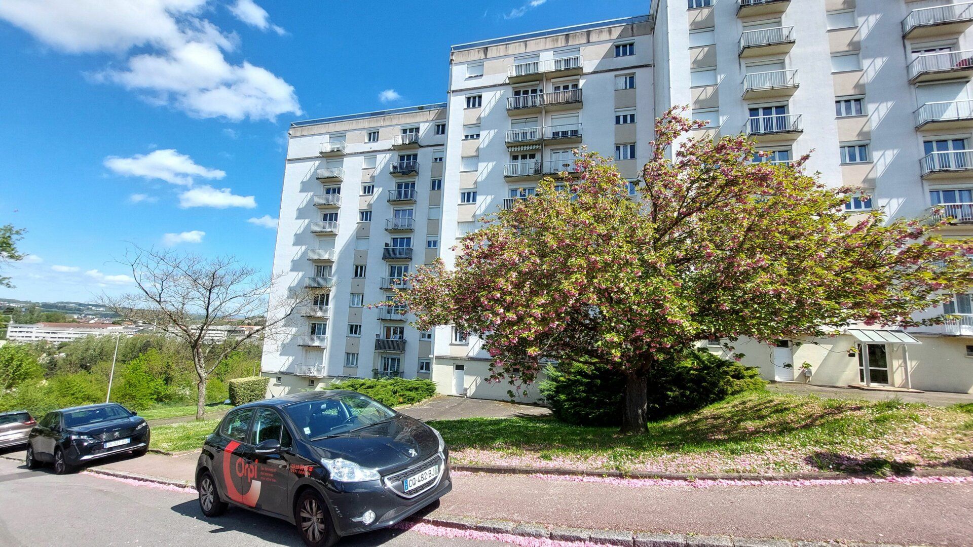 Appartement à louer 1 25.14m2 à Limoges vignette-8