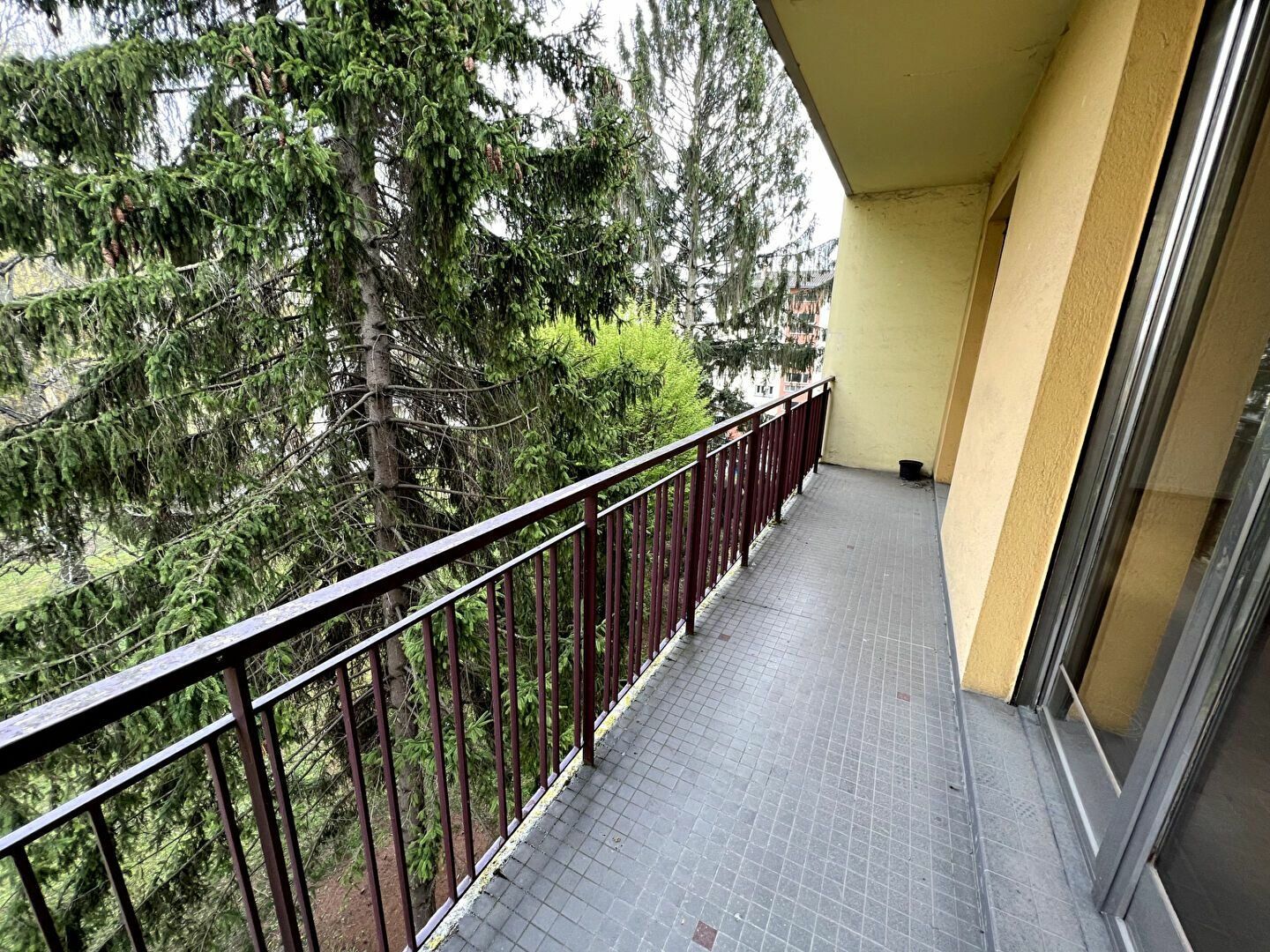 Appartement à vendre 4 81m2 à Schiltigheim vignette-3