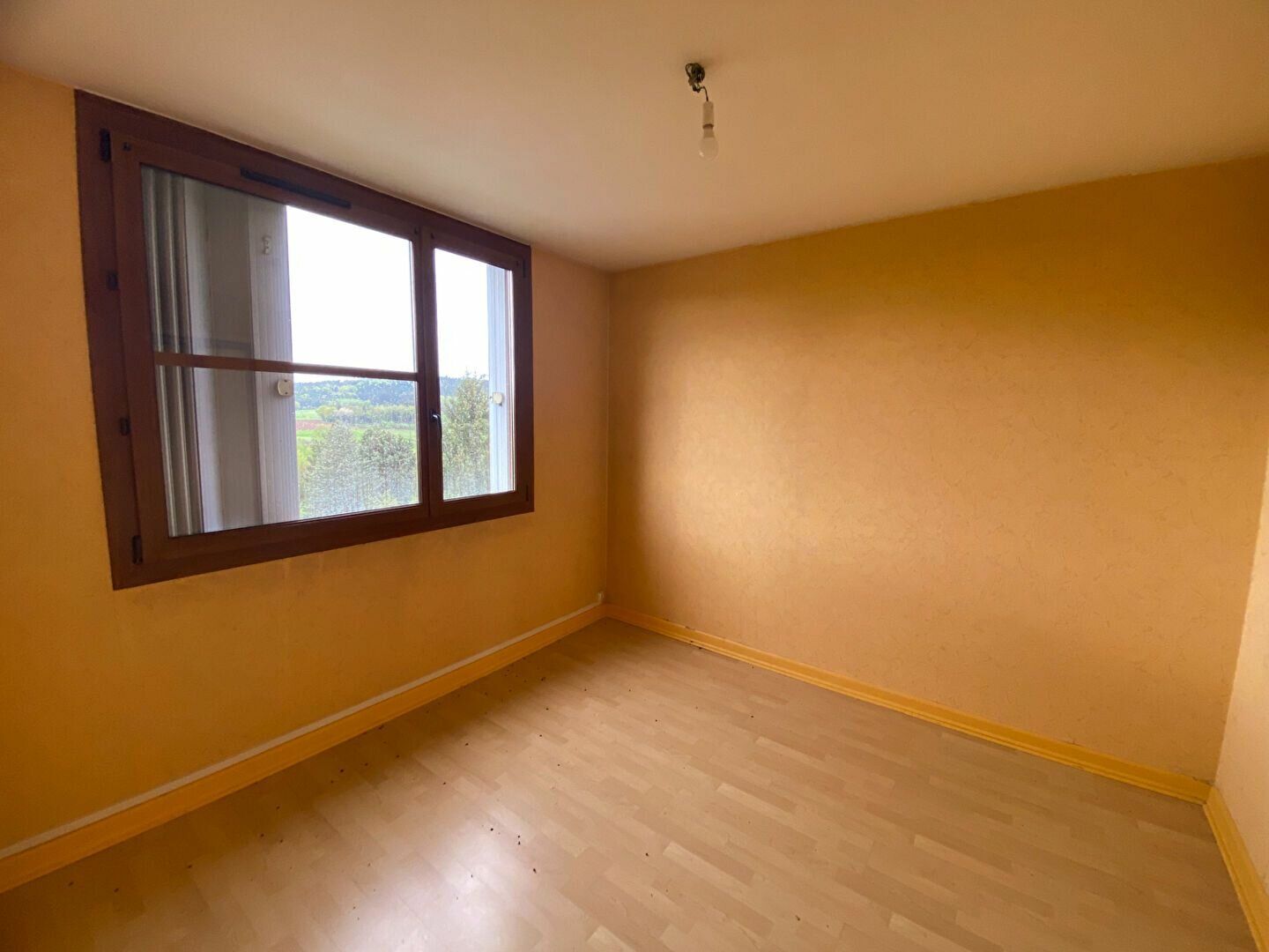 Appartement à vendre 2 65.7m2 à Bruyères vignette-6