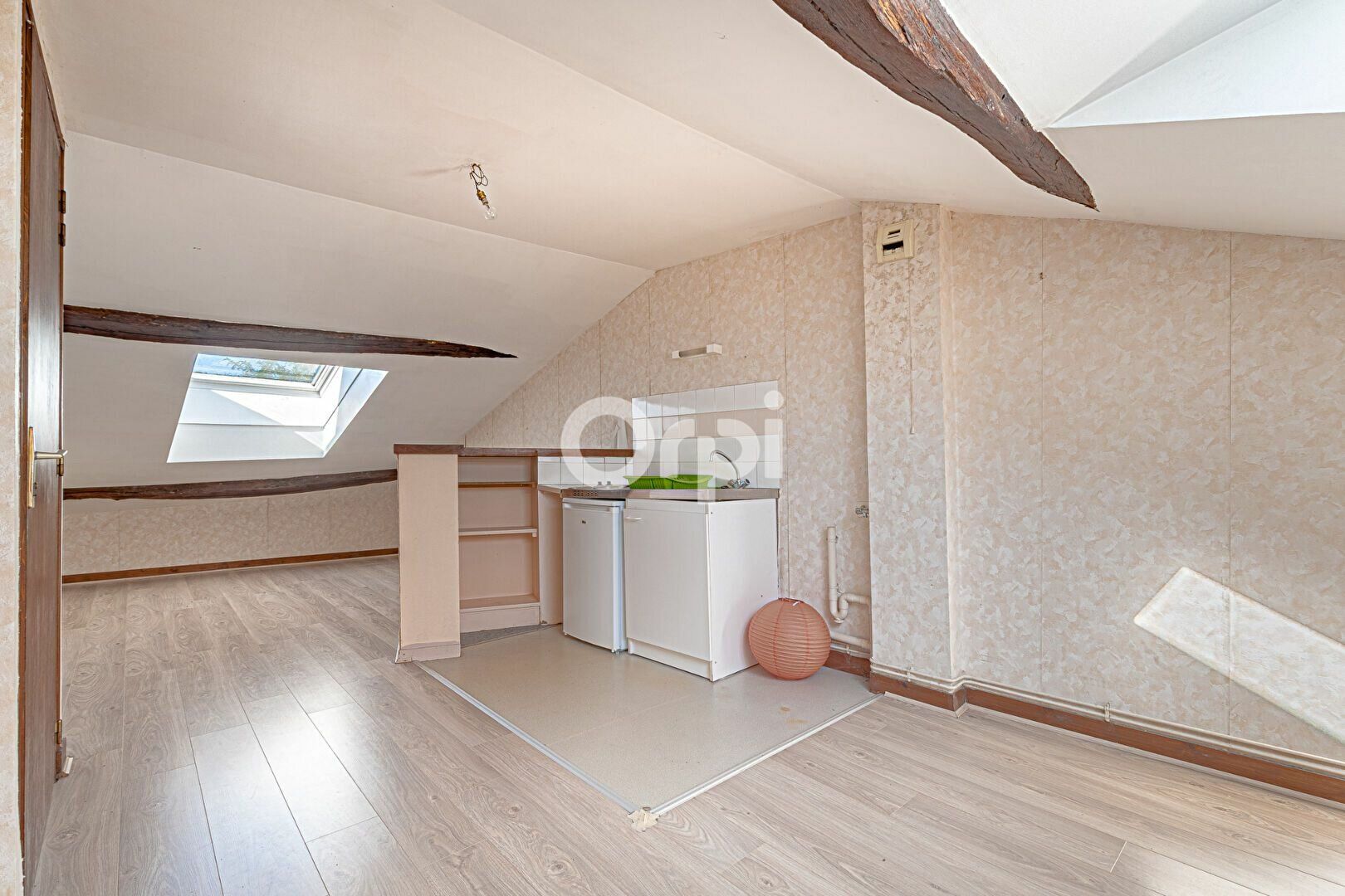 Appartement à vendre 0 45m2 à Aixe-sur-Vienne vignette-3