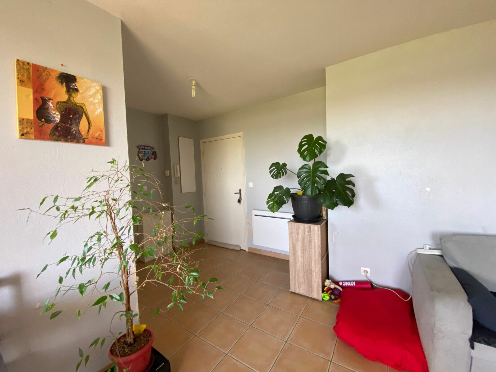 Appartement à vendre 2 50.8m2 à La Salvetat-Saint-Gilles vignette-4