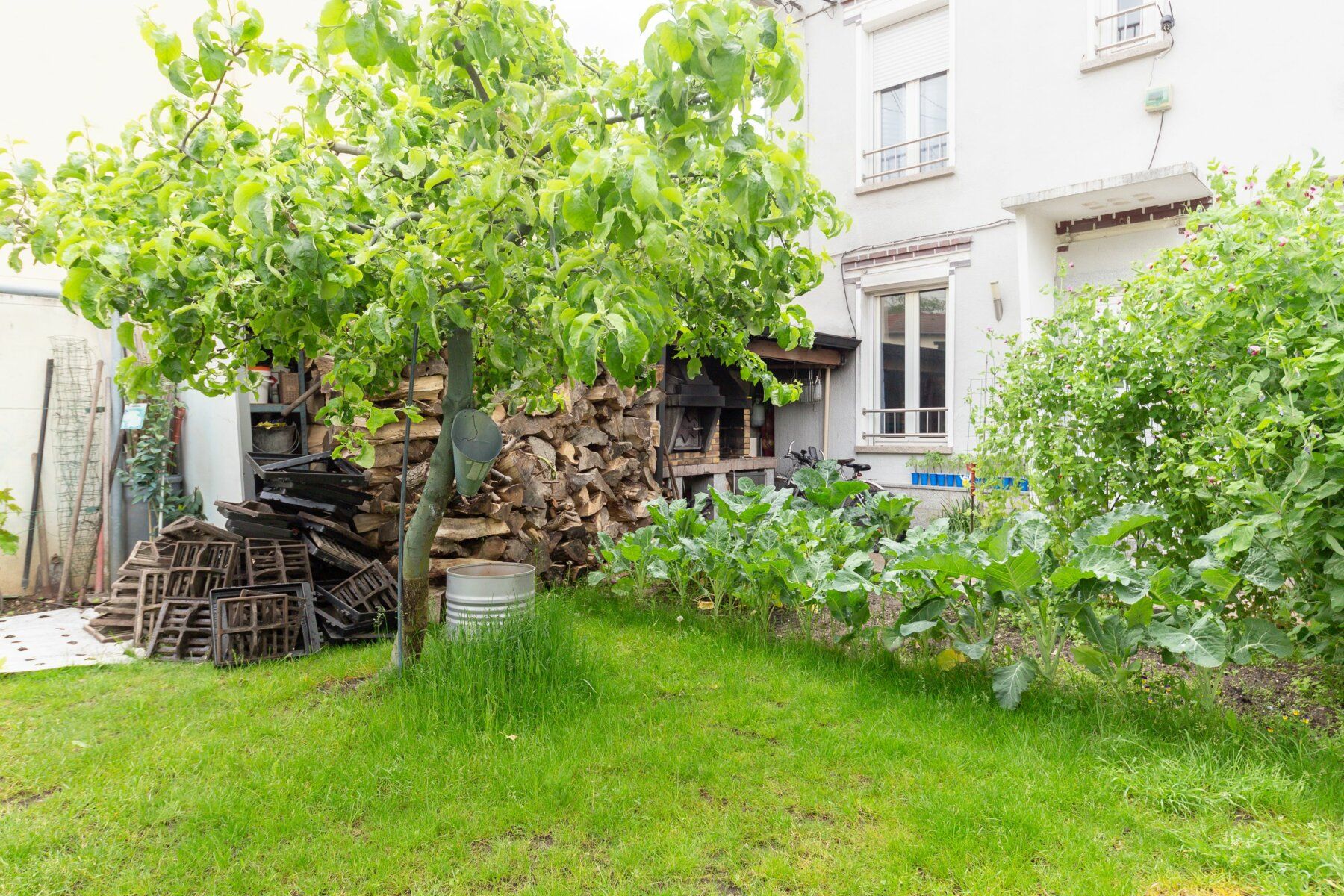 Maison à vendre 5 126m2 à Champigny-sur-Marne vignette-3