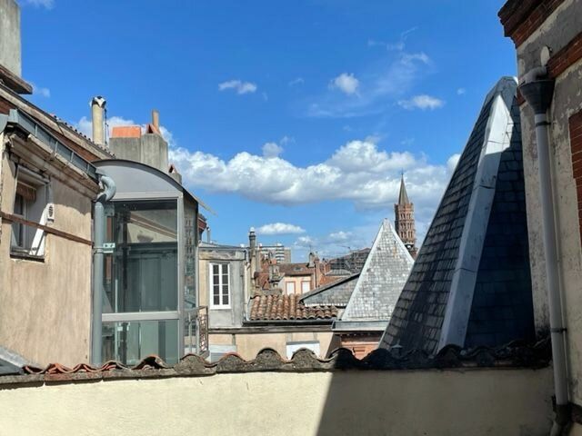 Appartement à vendre 2 48.25m2 à Toulouse vignette-2