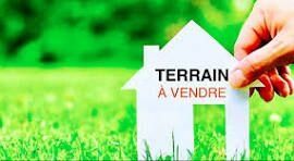 Terrain à vendre  m2 à Roquefort-les-Pins vignette-2
