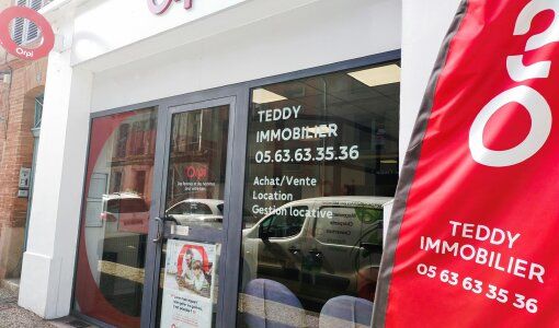 Teddy Immobilier