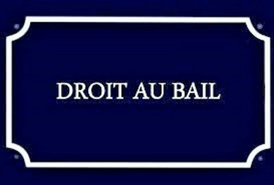 Cession de droit au bail à vendre 0 25.6m2 à Arles vignette-2